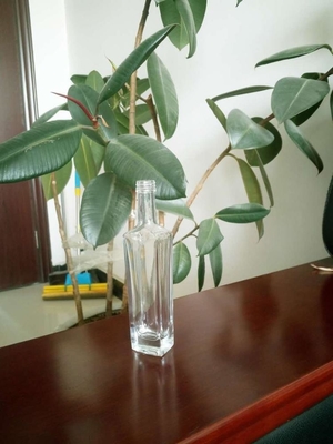 Fota de vidro de perfume de pequena capacidade de design elegante para soluções de embalagem sustentáveis